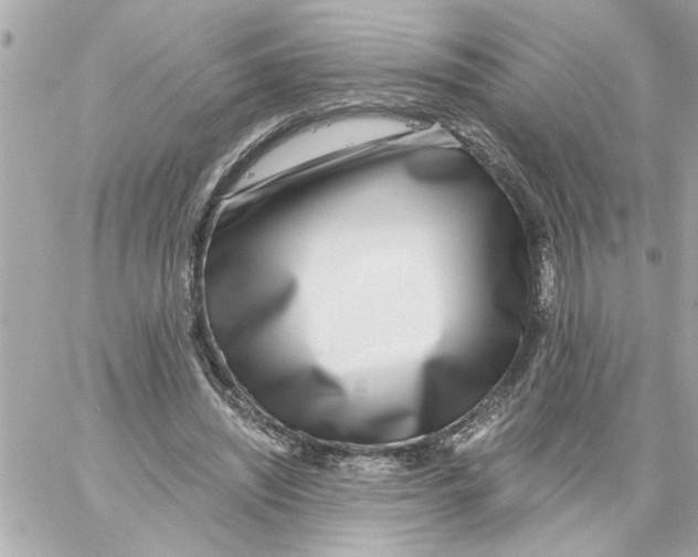 X0000059060444200511041733