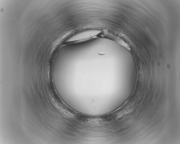 X0000059060446200511041733