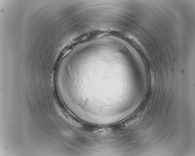 X0000059060447200511041733