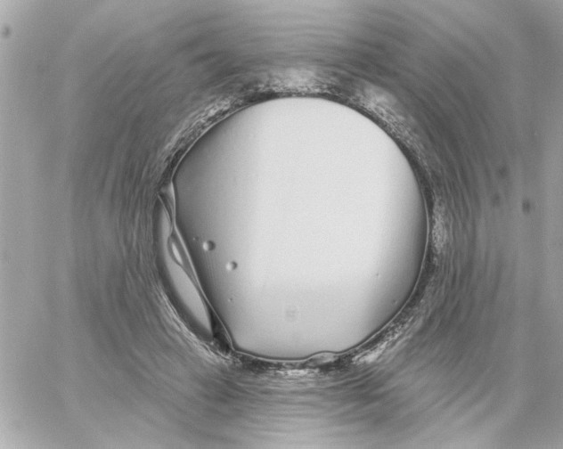 X0000059060449200511041733