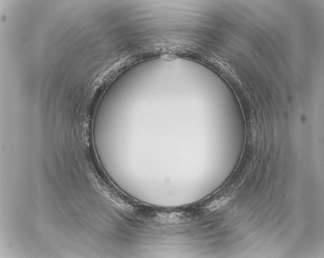 X0000059060450200511041733