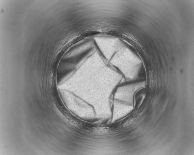 X0000059060451200511041733