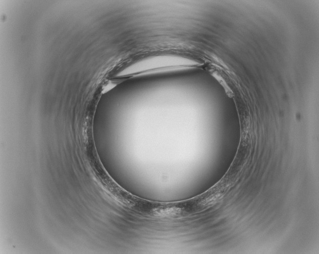 X0000059060452200511041733