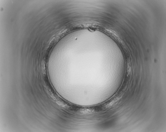 X0000059060453200511041733