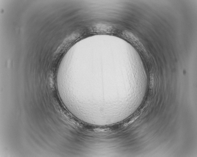 X0000059060457200511041733