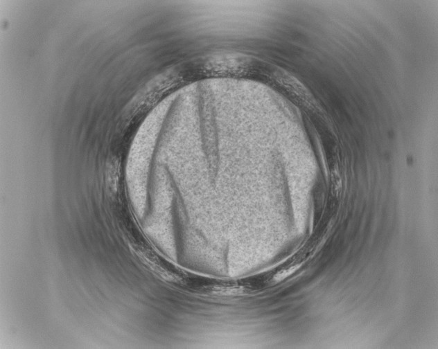 X0000059060458200511041733