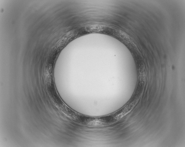 X0000059060460200511041733