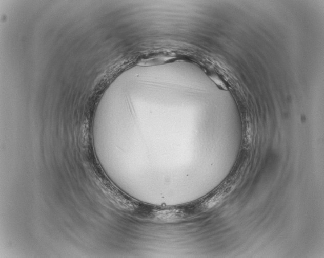 X0000059060461200511041733