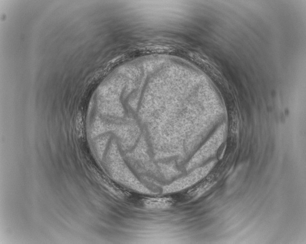 X0000059060465200511041733