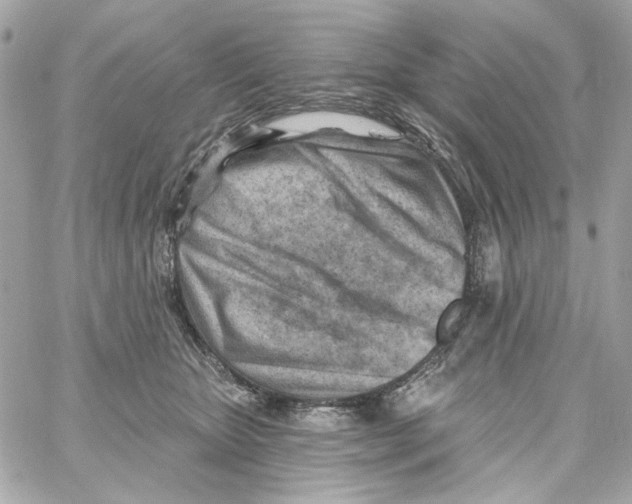 X0000059060467200511041733