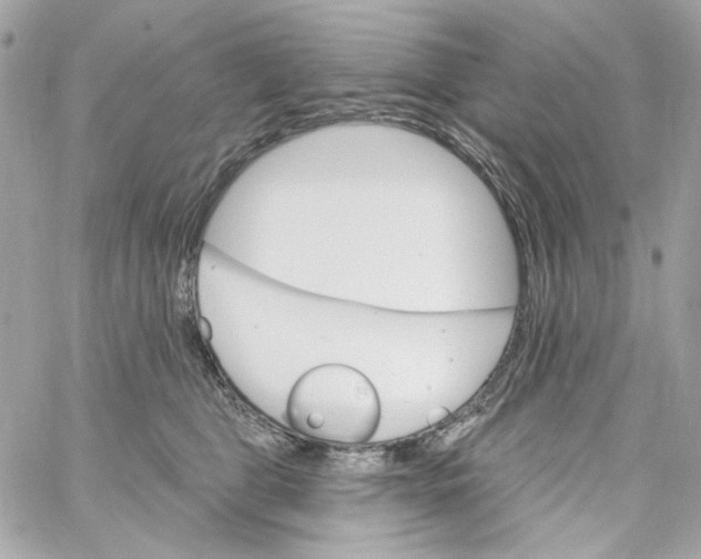 X0000059060469200511041733