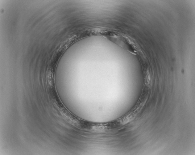 X0000059060470200511041733