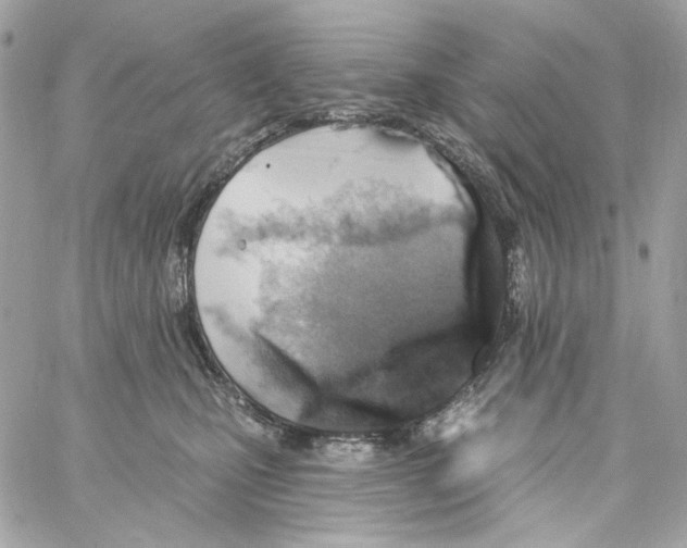 X0000059060471200511041733