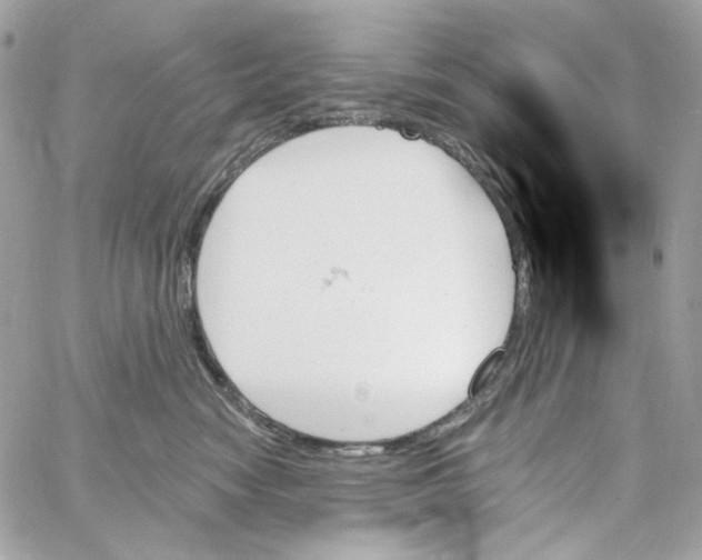 X0000059060474200511041733