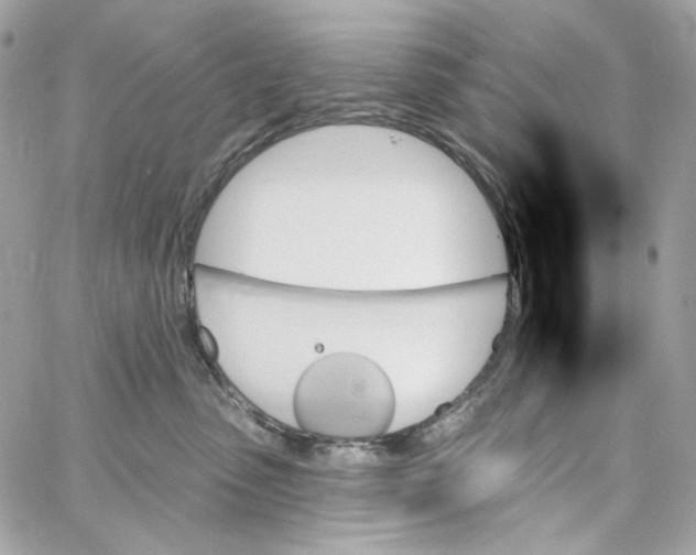 X0000059060475200511041733