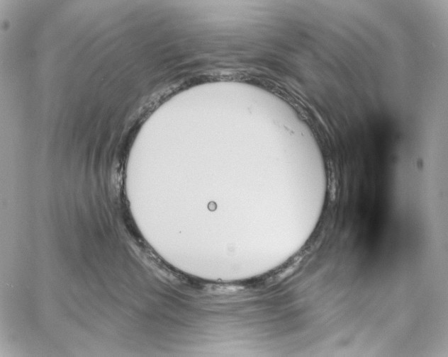 X0000059060476200511041733