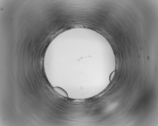 X0000059060477200511041733