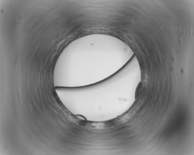 X0000059060478200511041733