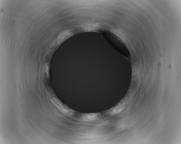 X0000059060479200511041733