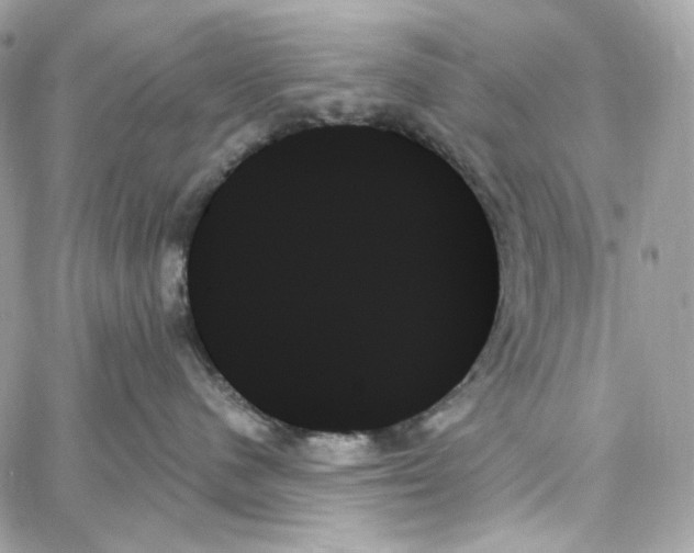 X0000059060480200511041733