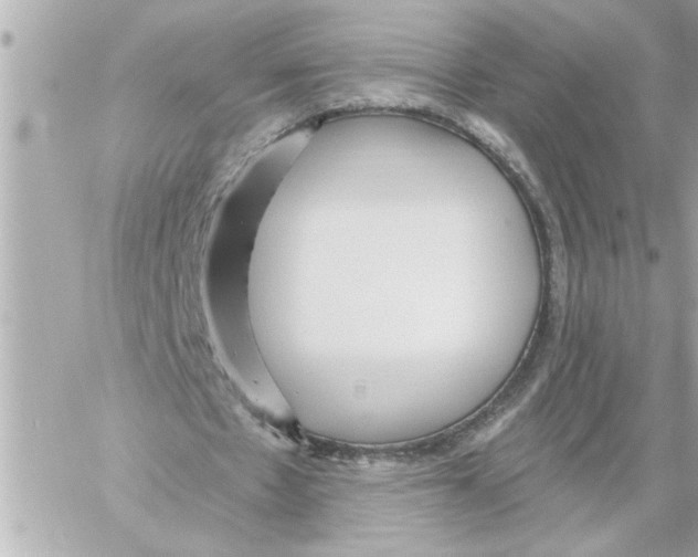 X0000059060481200511041732