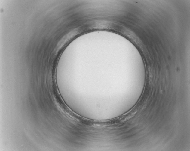 X0000059060482200511041732