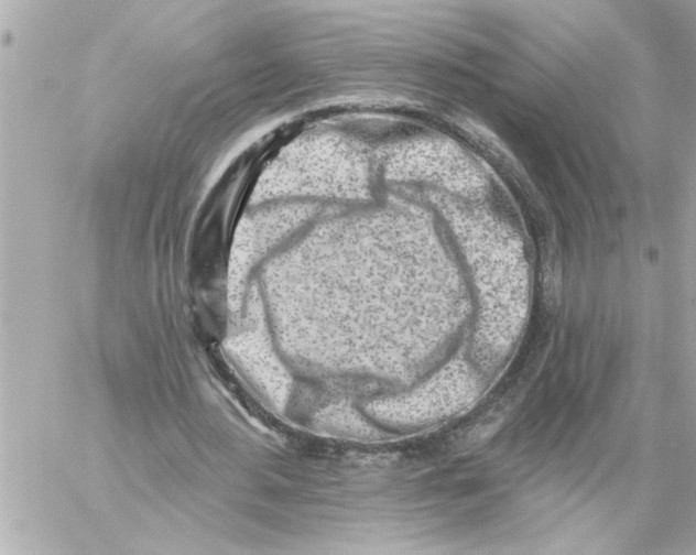 X0000059060484200511041732