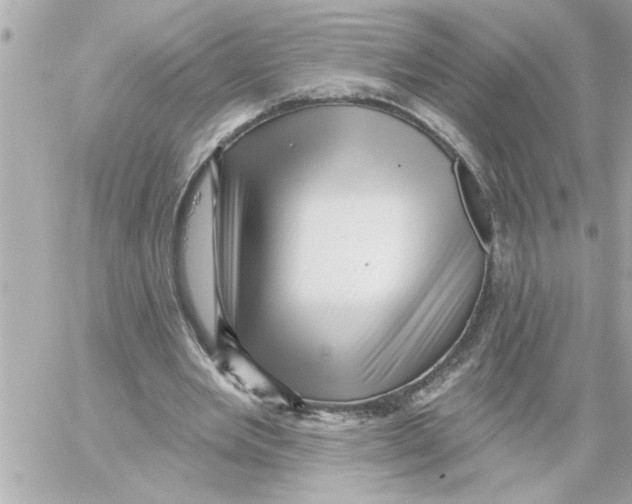 X0000059060485200511041732