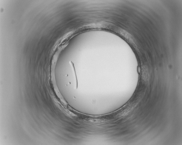 X0000059060486200511041732