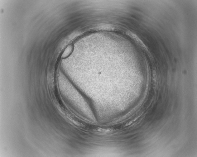 X0000059060487200511041732