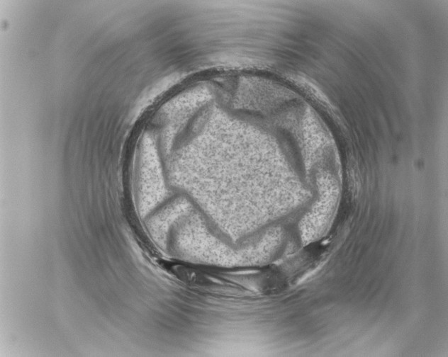 X0000059060488200511041732