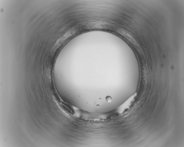 X0000059060489200511041732