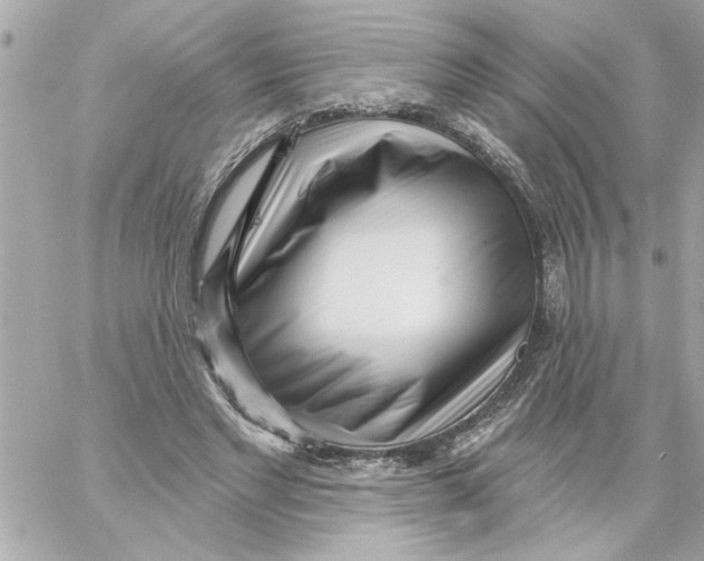 X0000059060493200511041732