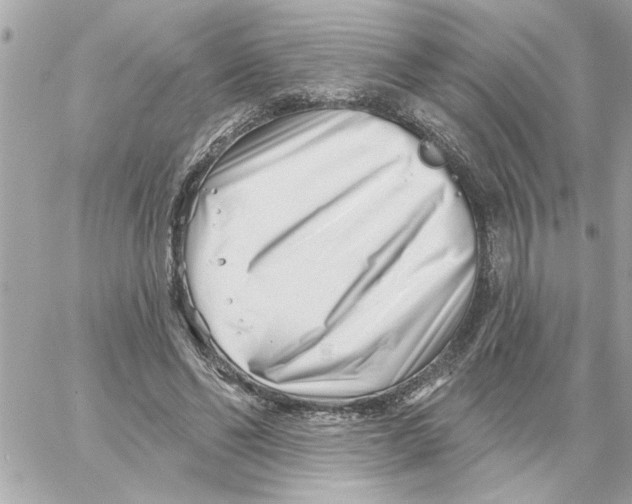 X0000059060494200511041732