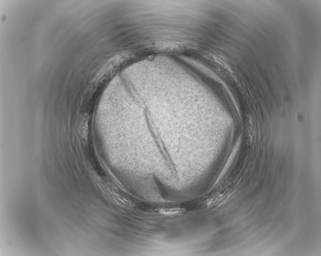 X0000059060495200511041732