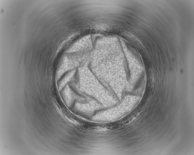 X0000059060496200511041732