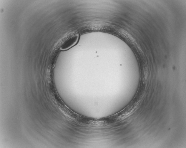 X0000059060497200511041732