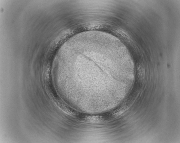 X0000059060499200511041732