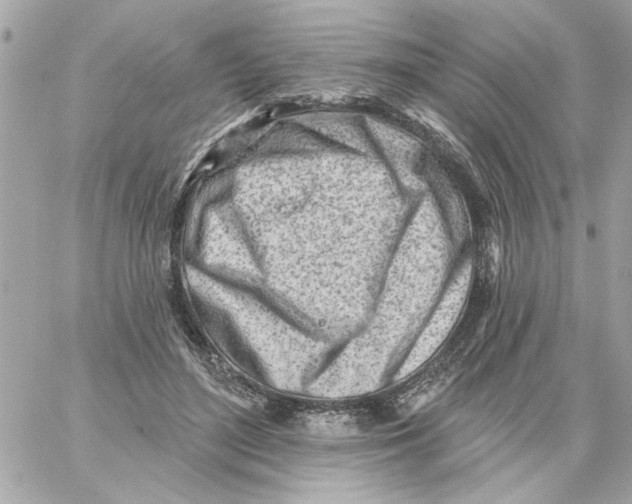 X0000059060500200511041732