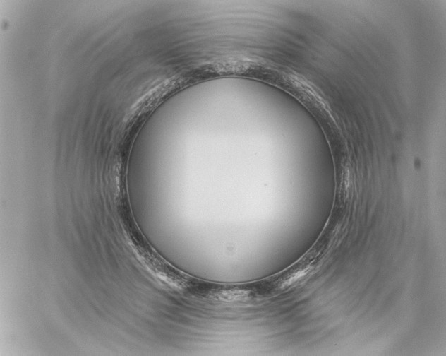 X0000059060501200511041732