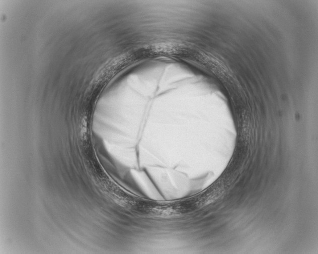 X0000059060502200511041732