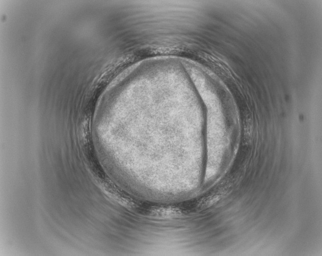 X0000059060503200511041732