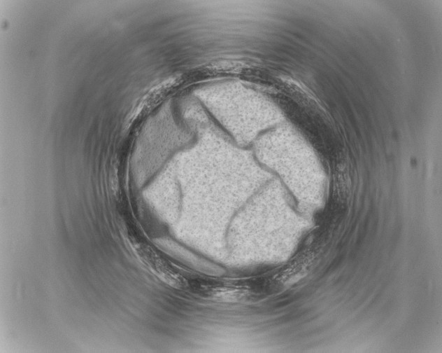 X0000059060504200511041732