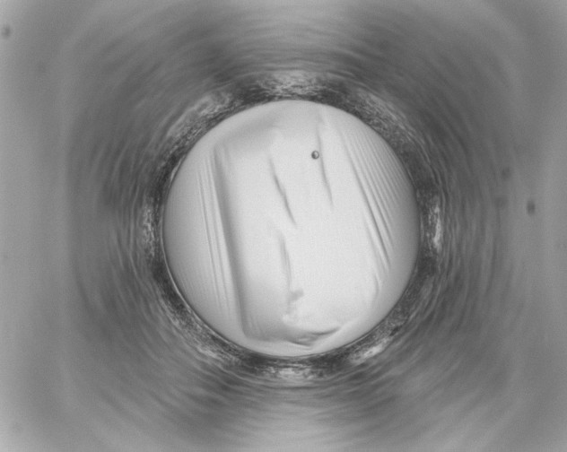 X0000059060506200511041732