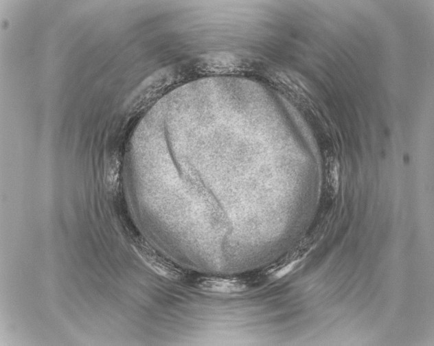 X0000059060507200511041732