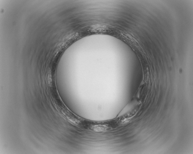 X0000059060508200511041732