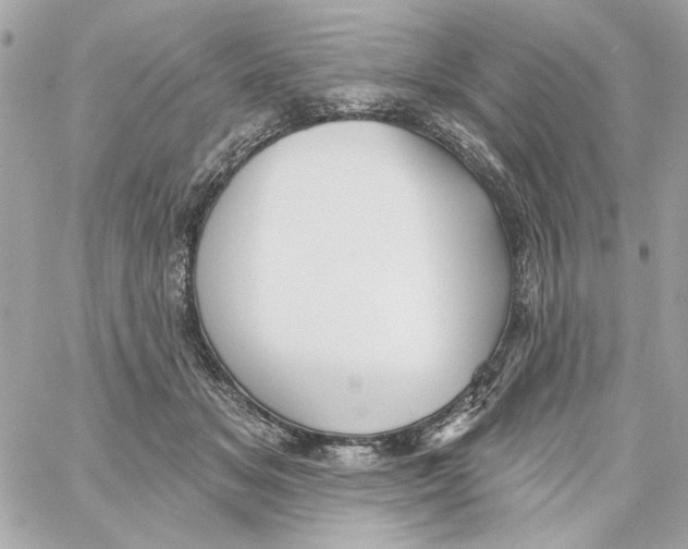 X0000059060509200511041732