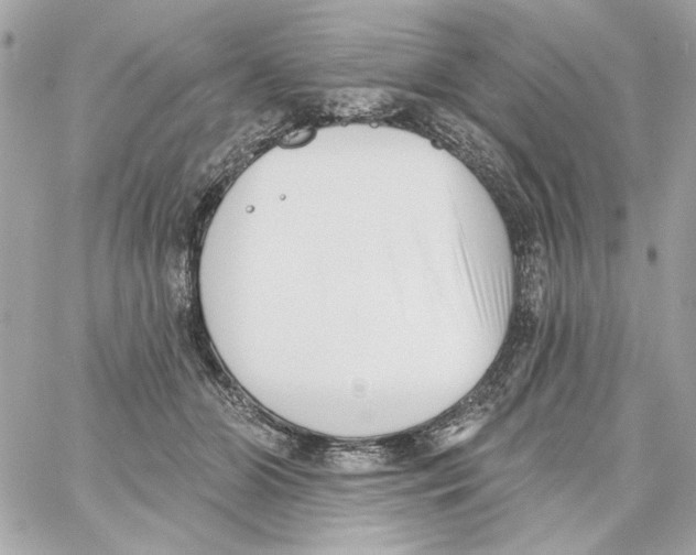 X0000059060510200511041732