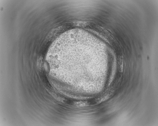 X0000059060511200511041732