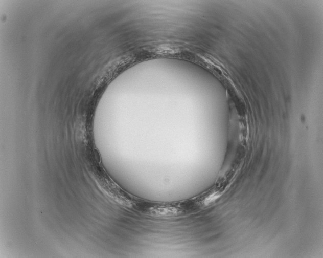 X0000059060512200511041732